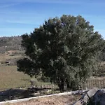 Raposa - * Pegarinhos