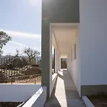 Raposa - *