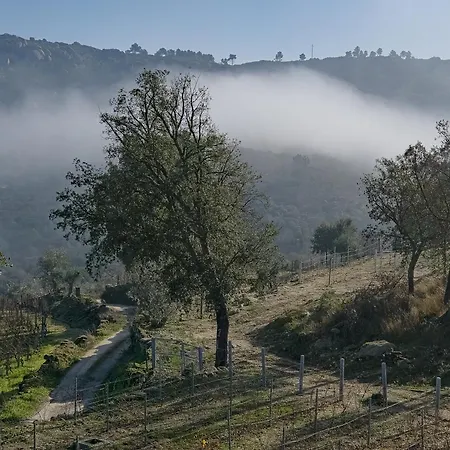 Raposa -