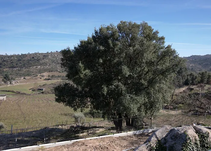 Raposa - * Pegarinhos